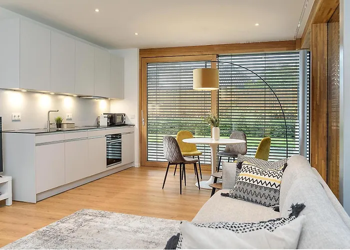 Bright & Spacious 1-bedroom In Kirchberg 6rdk